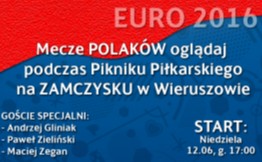 Oglądaj mecze polskiej drużyny podczas EURO 2016