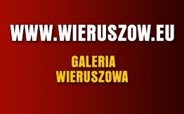 Wystartowała Internetowa Galeria Zdjęć Wieruszowa